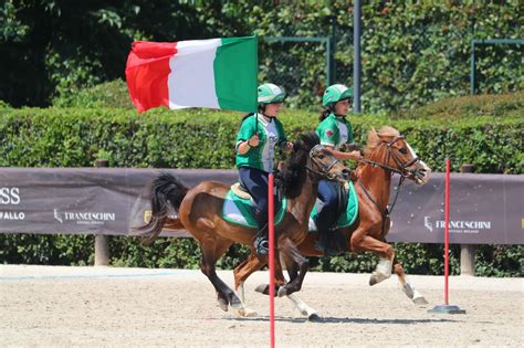 a che lv droppo medaglie equitazione|Guida al dropper di medaglie equitazion.